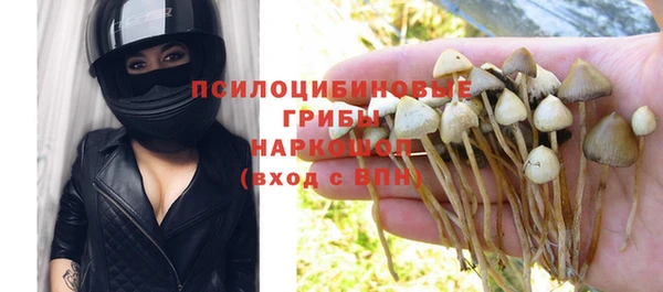 дживик Алексеевка