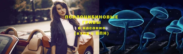 2c-b Абаза